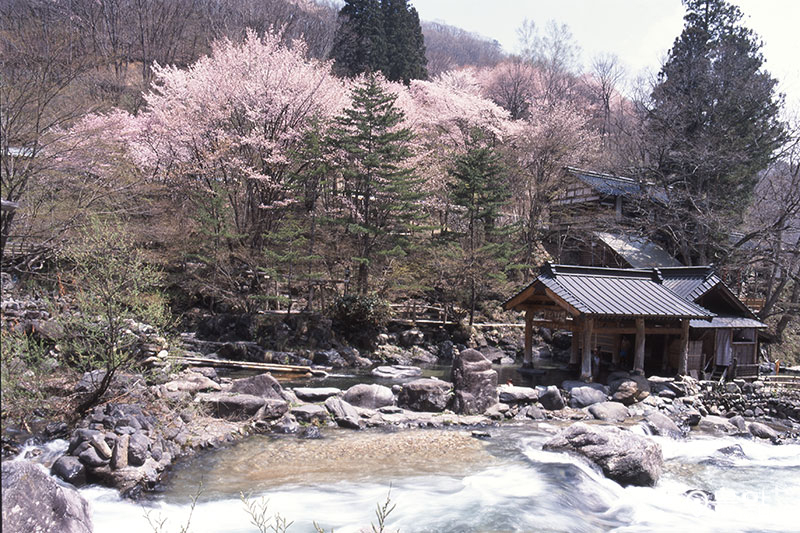 群馬縣「寶川溫泉汪泉閣」曾被評選為「日本 10 大溫泉」之一，更被譽為天下第一大露天溫泉浴池。