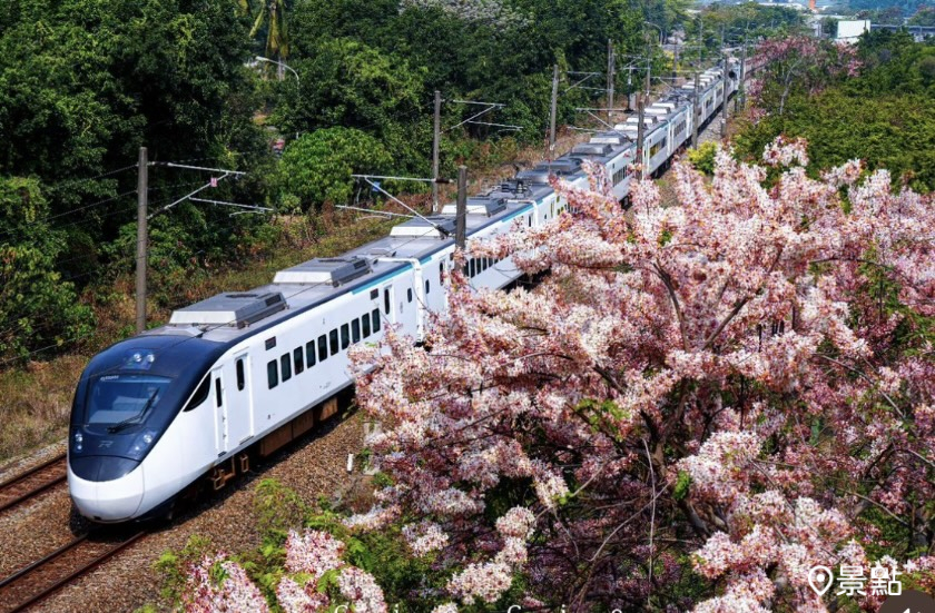 EMU3000列車與花旗木花海同框美景。（圖 / giorno9800_giogio，以下同）