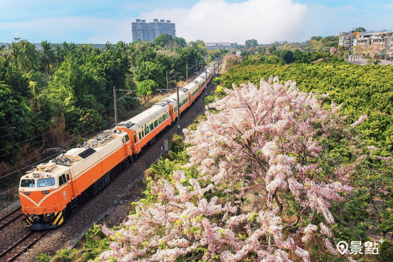 於2024年3月17日拍攝的德民新橋花旗木、火車同框美景。（圖／molly888666）