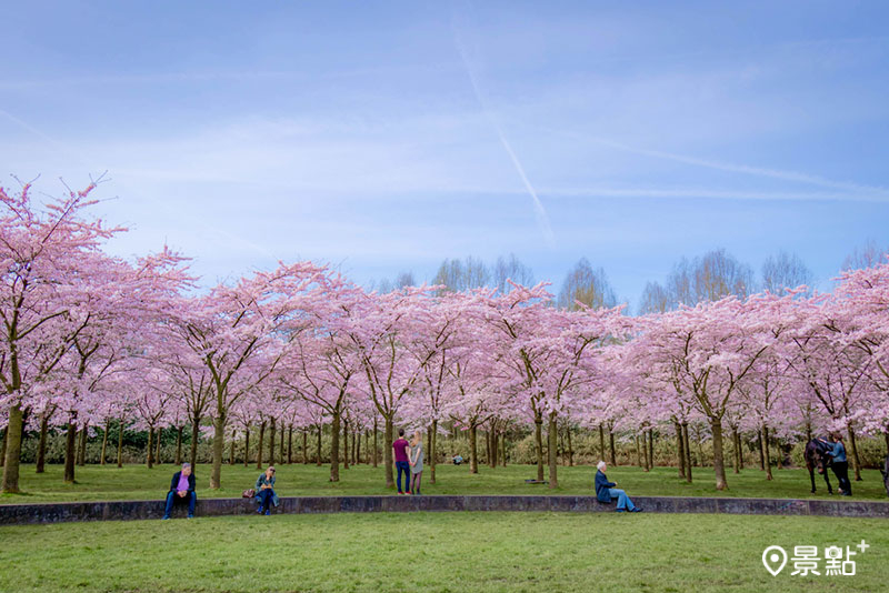 阿姆斯特丹南部的阿姆斯特丹森林，以擁有400棵櫻花樹而聞名。