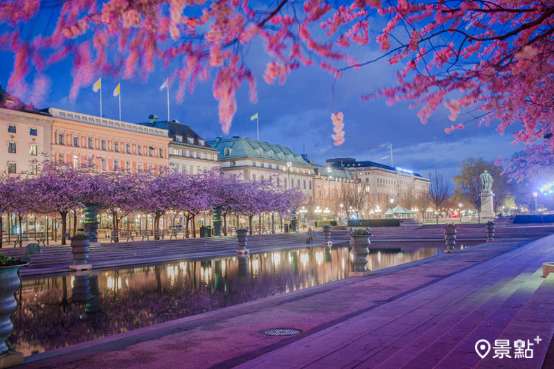 瑞典首都斯德哥爾摩賞櫻最佳勝地非國王花園(Kungsträdgården)莫屬。