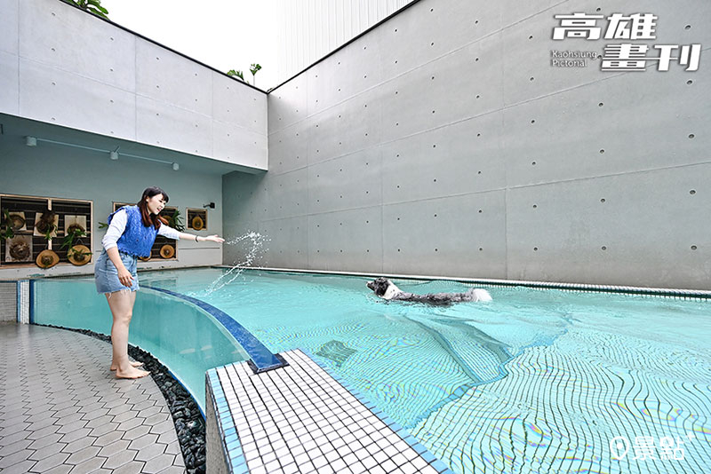 泳池一側以透明玻璃為牆，可欣賞寵物游泳的可愛模樣。