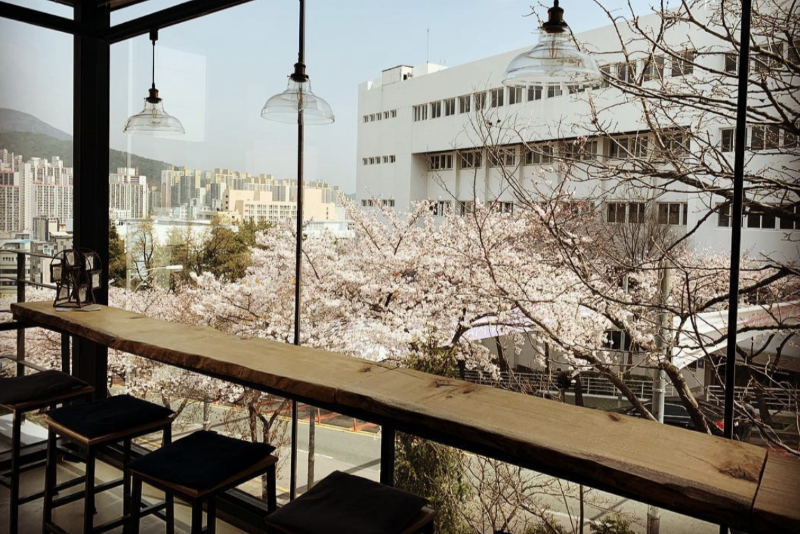 2樓室內用餐區視野。