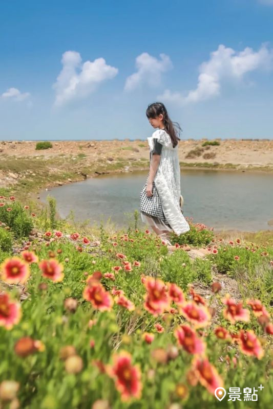 於2024年4月20日拍攝的海角樂園天人菊、平地版嘉明湖同框美景。（圖／aday0530）