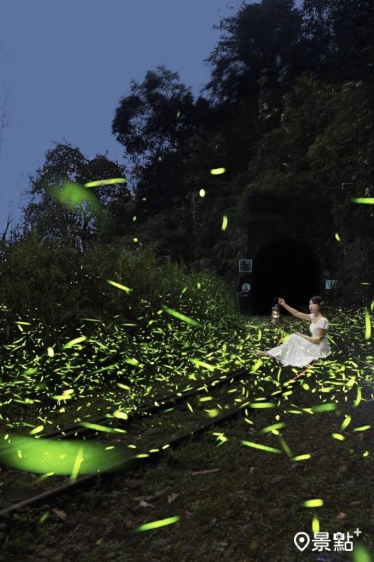 於2024年4月3日拍攝的嘉義竹崎鄉螢火蟲美景。（圖／molly888666，以下同）