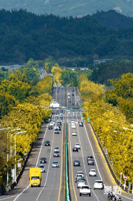 兩旁金黃色的阿勃勒花海搭配筆直的公路，景色如畫。（圖／porter_photo）