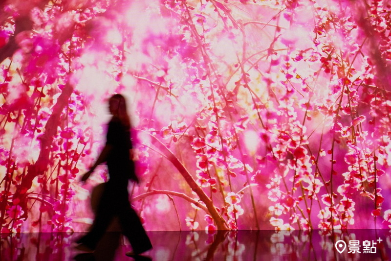 日本攝影藝術家蜷川實花展覽登場於新光三越的Diamond Towers。（圖／新光三越，以下同 ）