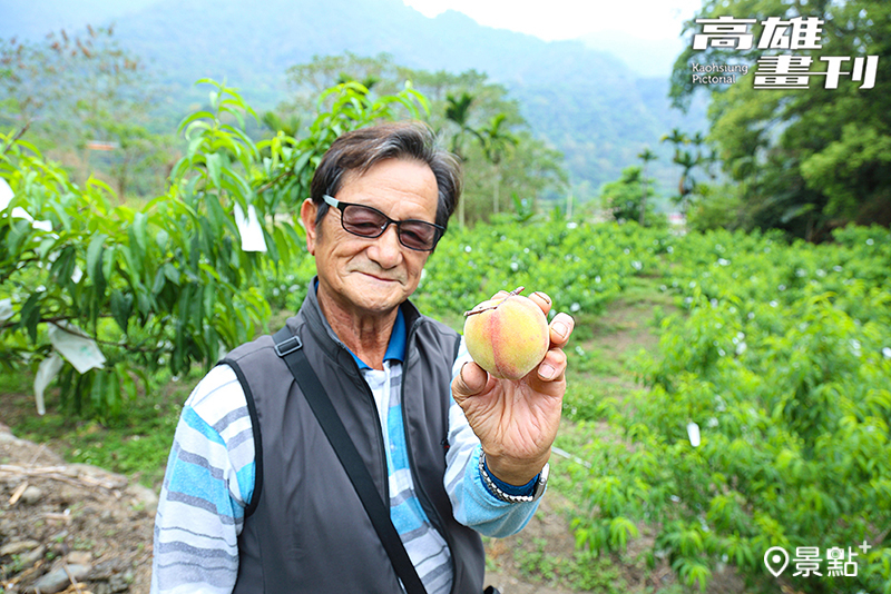 那瑪夏水蜜桃產銷班第8班班長翁博學表示，五月水蜜桃採收最對時，盛情邀請大家來部落市集採購，品嘗一顆顆粉嫩香甜的熱帶品種水蜜桃。