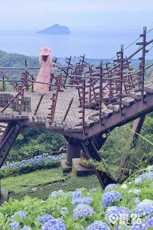 往年石牌縣界公園繡球花海、龜山島海景同框畫面。