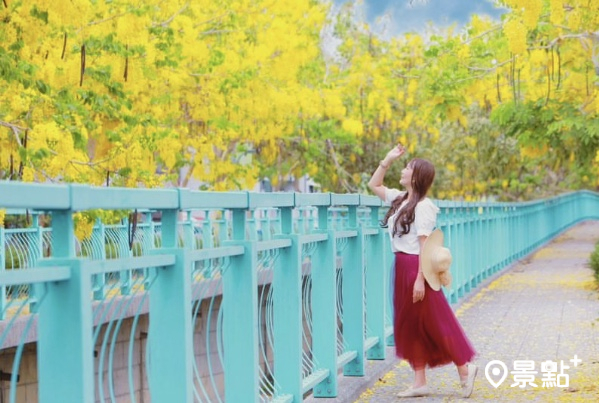 阿勃勒花海經典花景，Tiffany藍水岸護欄步道是取景好地方！(圖 / yishan1128）