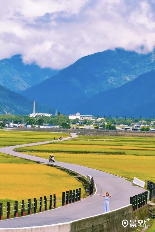 於2024年6月9日拍攝的池上天堂路稻田美景。（圖／an700328）