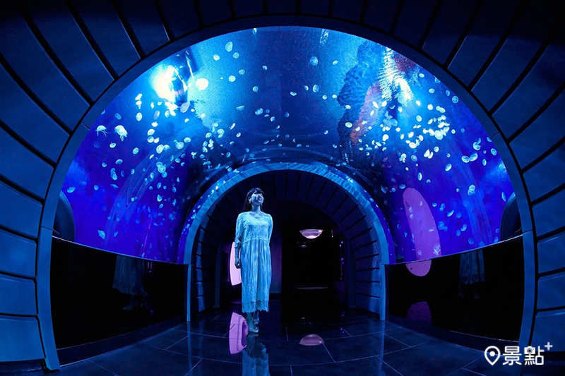 2020新開放的「水母空間」，已成為陽光水族館的亮點之一。（圖／©陽光水族館）