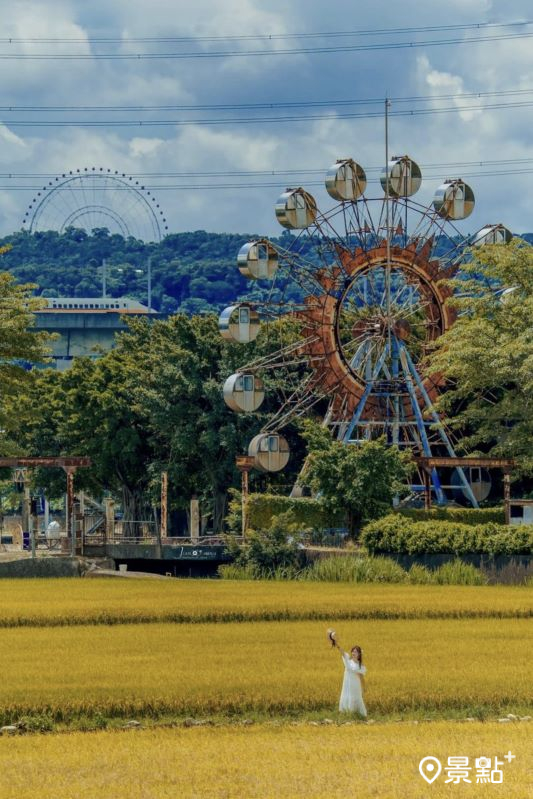 於2024年6月19日拍攝的石頭公園摩天輪、高鐵及稻田同框美景。（圖／sunny_day_11_03）