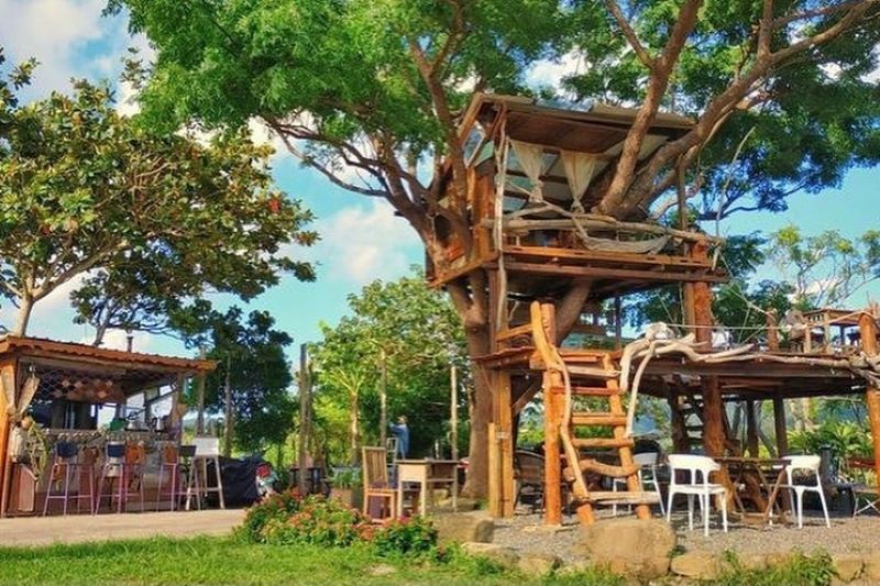 （圖／開門見山樹屋咖啡Treehouse café）