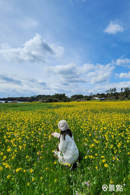 韓劇最愛拍攝地！踩點濟州島、南海島、浦項來場浪漫之旅！