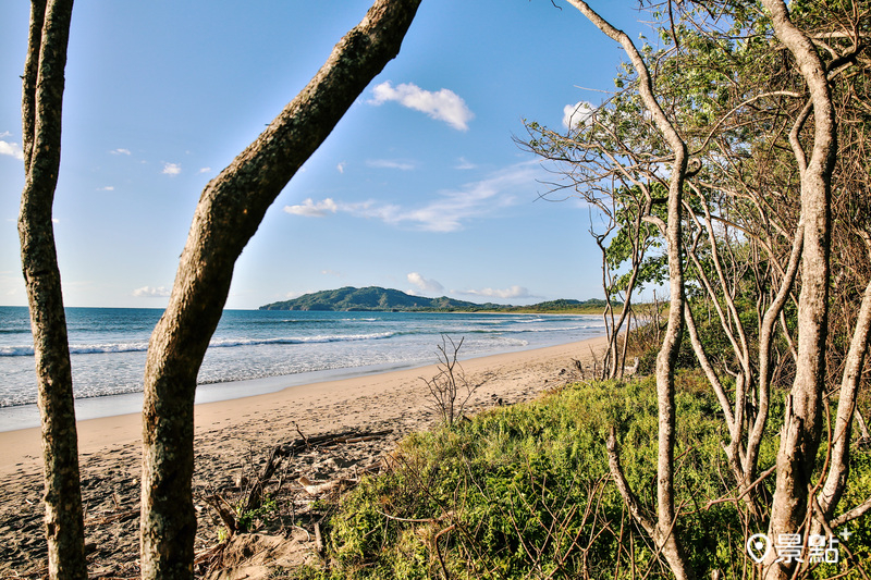 哥斯大黎加｜Pipe House Playa Grande。