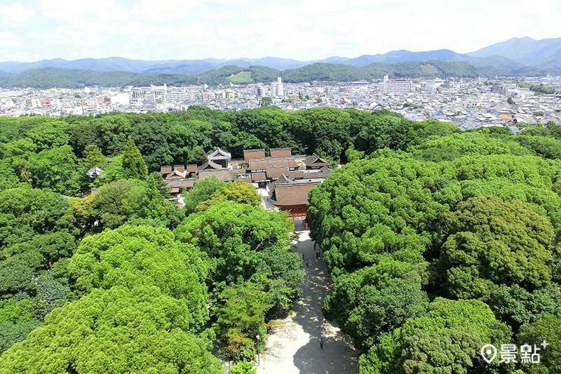 下鴨神社 糺の森。