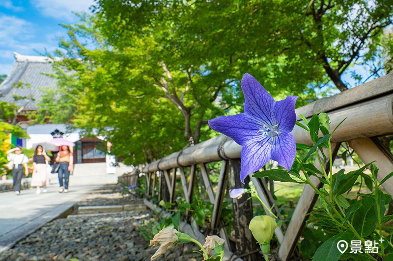 智積院 参道。