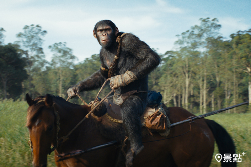 《猩球崛起：王國誕生》（Kingdom of the Planet of the Apes）。