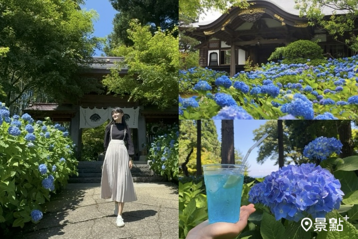 秋田之旅雲昌寺紫陽花名所！夢幻繡球花海日本海同框夏季風情畫