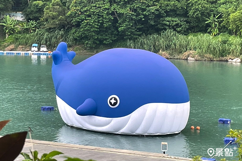 超萌可愛的巨型鯨魚。（圖 / 新北市政府）