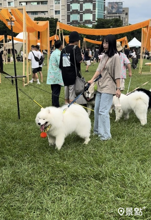 在草悟道大草坪上，主人與毛孩可一起享受草地上的市集與活動。(圖／景點+張盈盈)