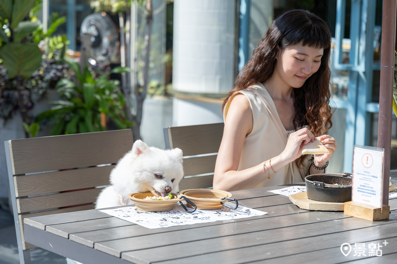 至TOASTERiA CAFÉ、Molino任一用餐，毛小孩可免費體驗寵物摺疊碗。