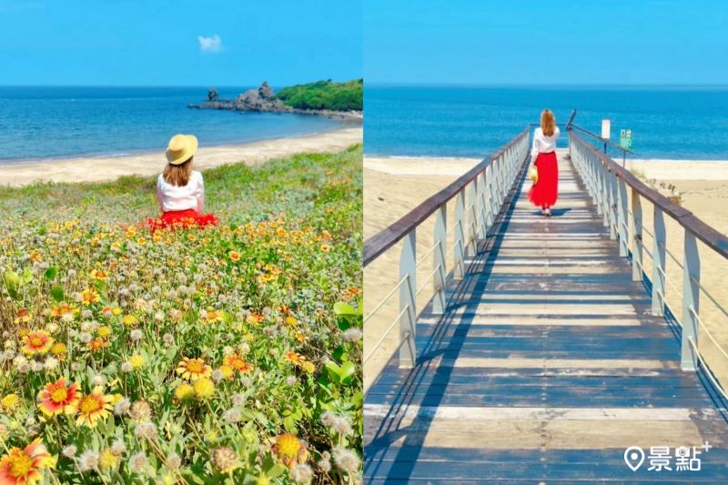 老梅綠石槽附近海景第一排天人菊花海及步道，吸引人前往拍照打卡。（圖／summer6639）