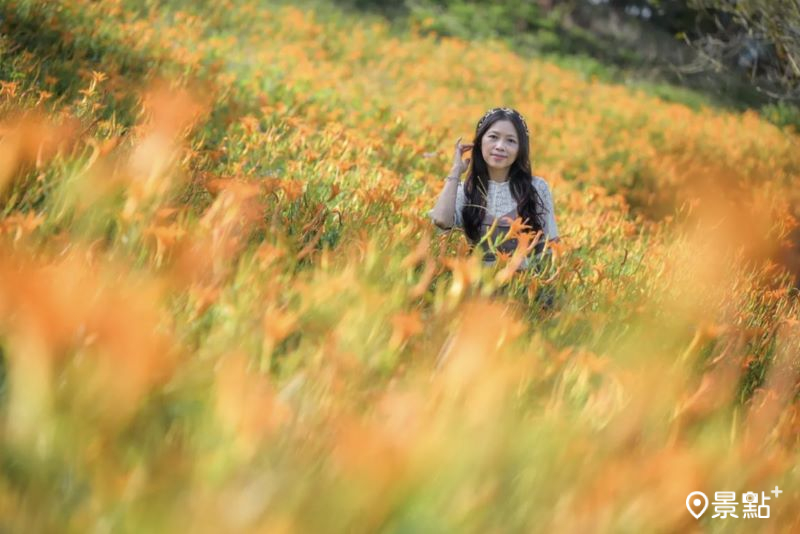 本篇太麻里金針山忘憂谷美圖拍攝於2024年8月24日。（圖／nelly.hong，以下同）