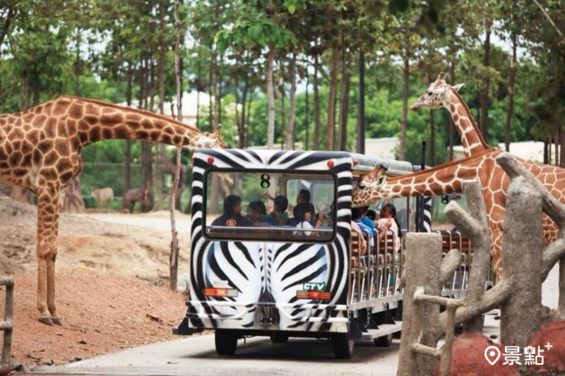 清邁夜間動物園門票售價915元起。