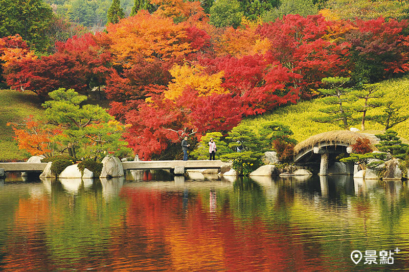 庭園類型的三景園不只有紅葉，一年四季都能來此賞花賞景。