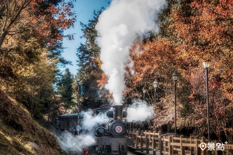 楓紅浪漫紅葉大景免出國美拍！全台10大秋冬賞楓景點推薦