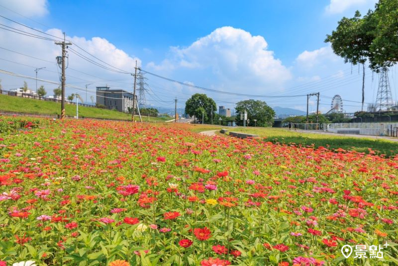 （圖／台北市政府工務局水利工程處）