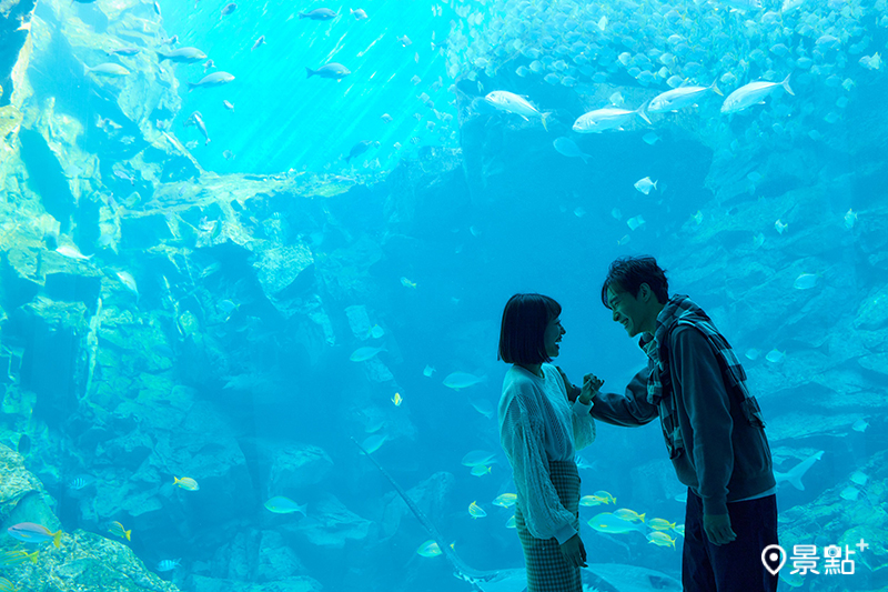 Xpark冬の水族館戀愛物語於11月11日至12月31日甜蜜登場。