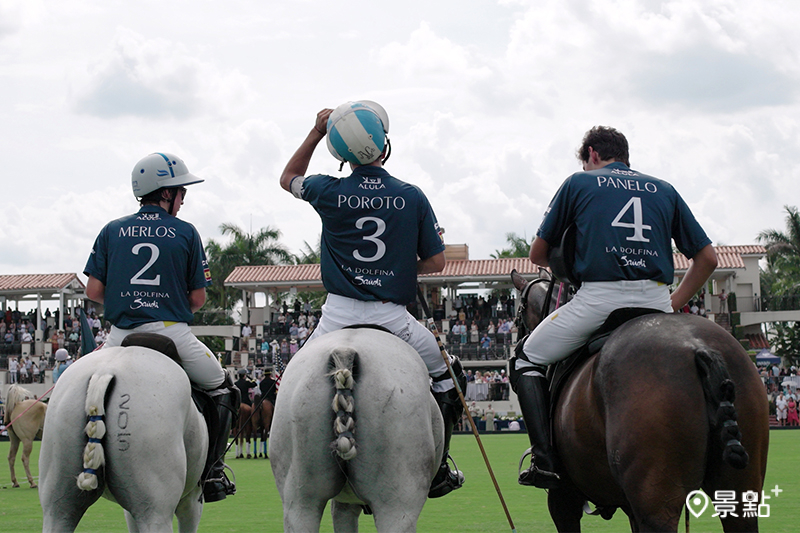 《馬上求勝：專業馬球大揭密》(Polo)