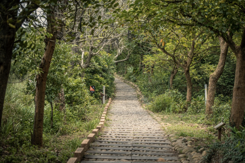 台中竹坑南寮登山步道。（圖／taichungtravels）