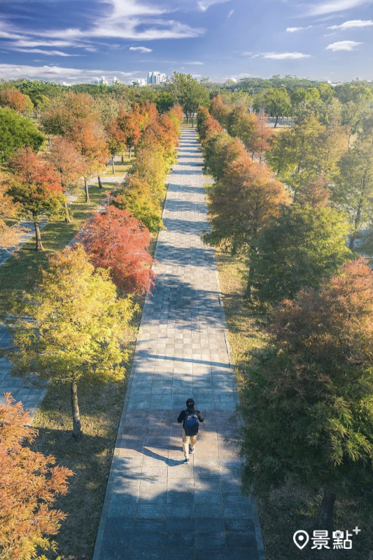 嘉義長庚醫院落羽松公園。（圖／bb211019）