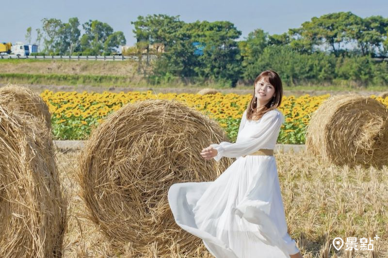 巨型稻草捲心酥X黃金向日葵花海！嘉義田園風油畫大景美拍情報必收