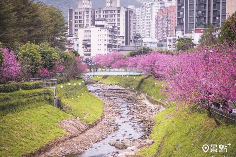 （圖／新北市政府、汐止區公所，以下同）