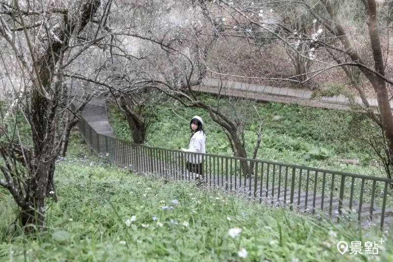 （圖／aday0530，以下同）