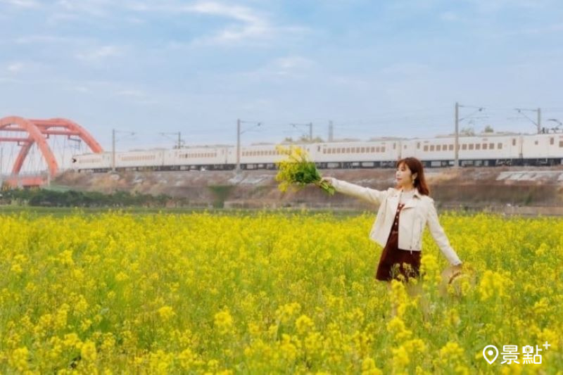 金黃油菜花海X火車紅橋油畫大景！冬季限定花田攝影迷美拍聖地必收