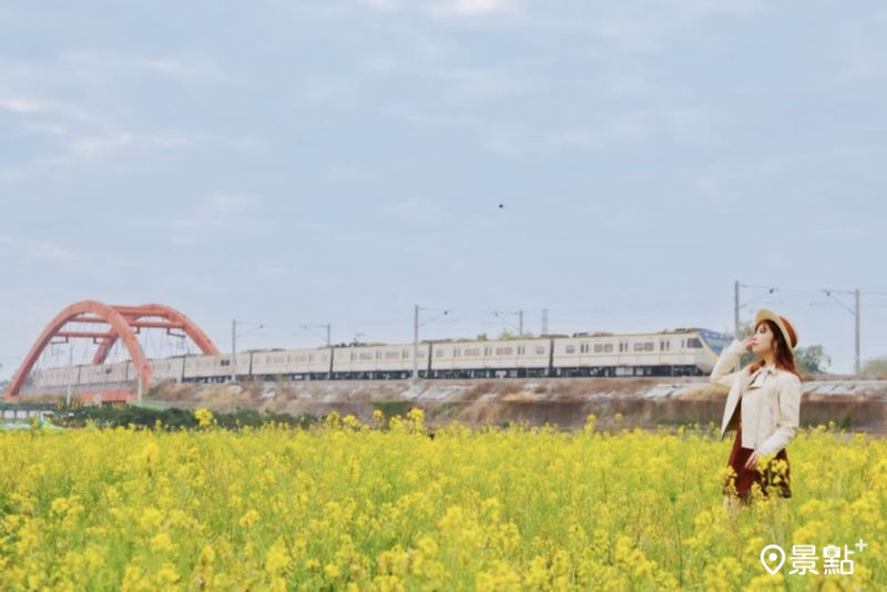 於2025年1月11日拍攝的花壇火車紅橋油菜花田。（圖／apple690523，以下同）