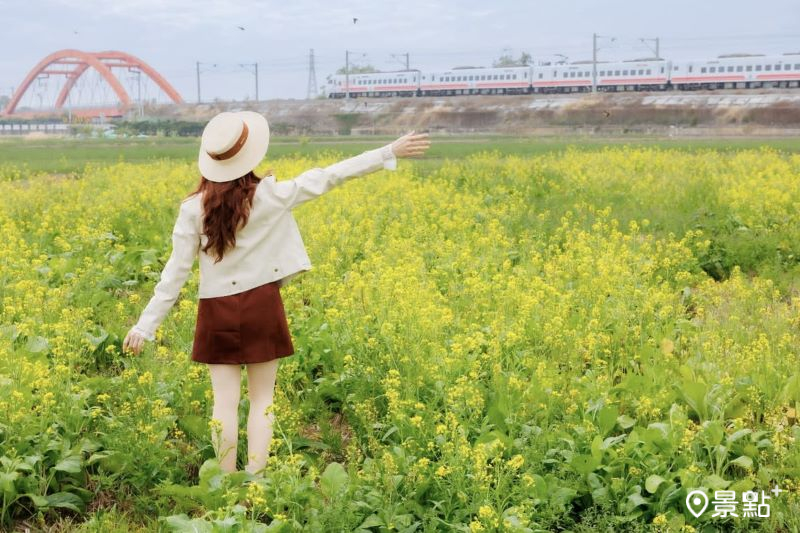 （圖／apple690523，以下同）