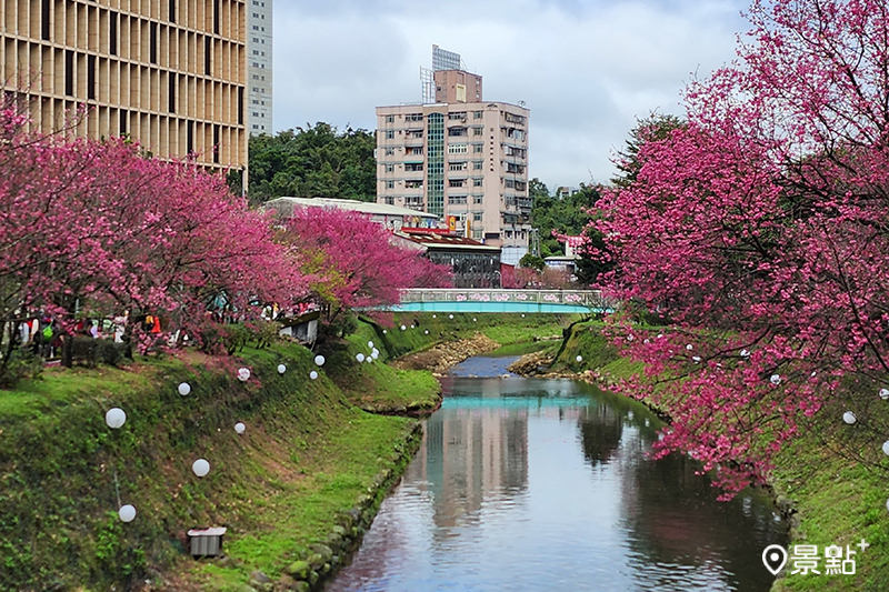 （圖 / 新北市政府）