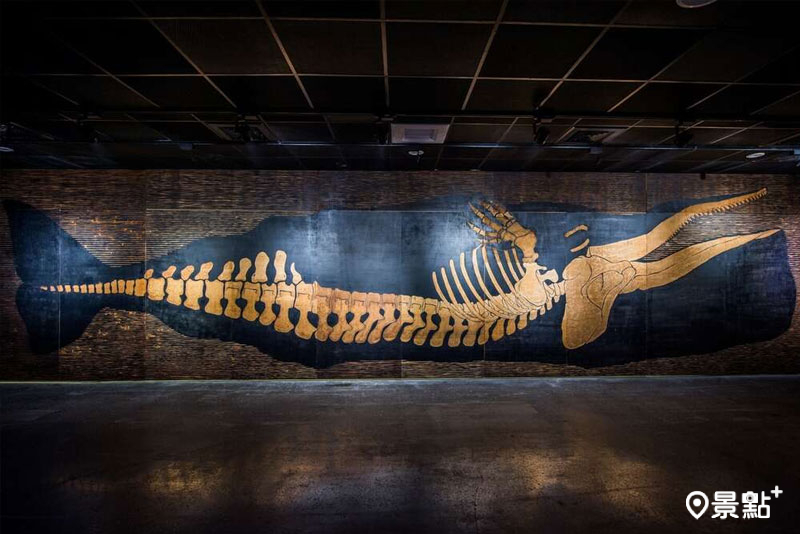 左鎮化石園區。（圖／台南市政府）