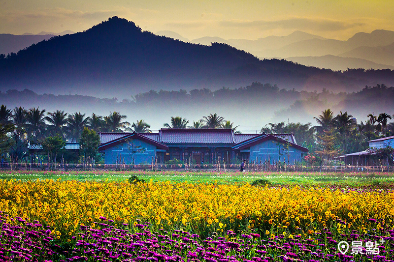 欣賞美濃花海正是時候。