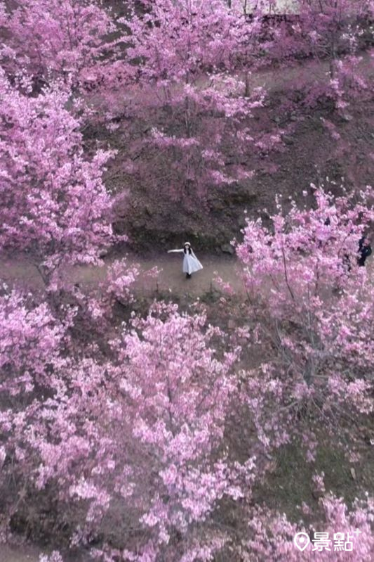 （圖／pierrehuang）