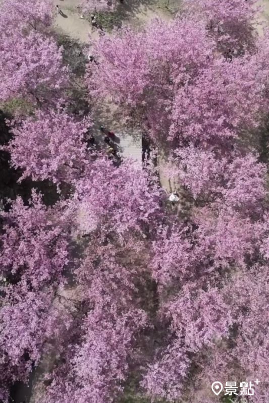 （圖／pierrehuang，以下同）