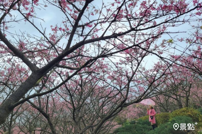 （圖／yijiun_lee，以下同）