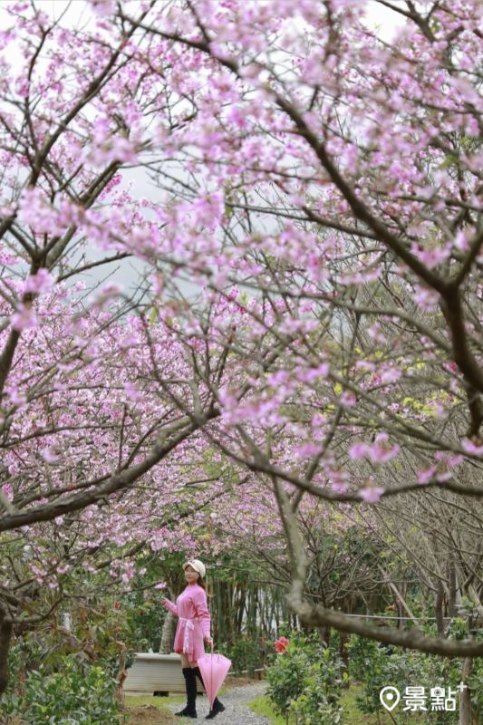 （圖／yijiun_lee，以下同）